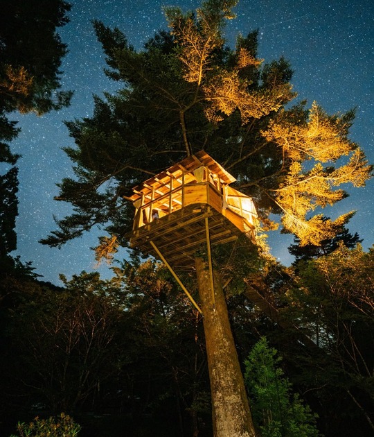 ツリーハウスキャンプ 子供も大人も楽しいツリーハウスキャンプはいかが？中部エリアで