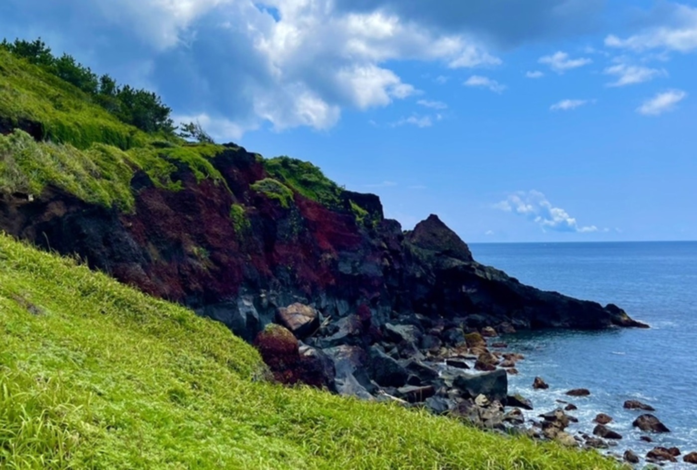 三浜館　伊豆大島【禁煙】４人部屋【素泊まり・個室】伊豆大島で豊かな自然を満喫！