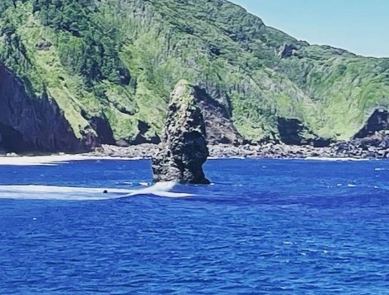 三浜館　伊豆大島【禁煙】５人部屋【素泊まり・個室】伊豆大島で豊かな自然を満喫！