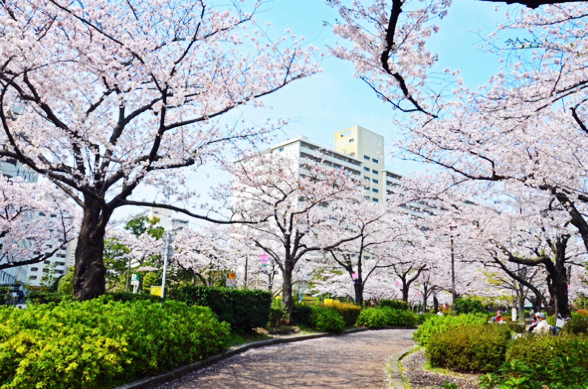 東京・板橋 RC ANNEX#305 長期滞在OK｜最大6名｜高島平駅まで徒歩7分
